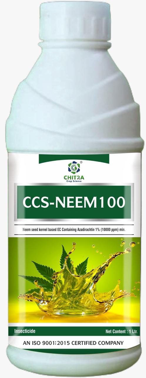 CCS-NEEM 100